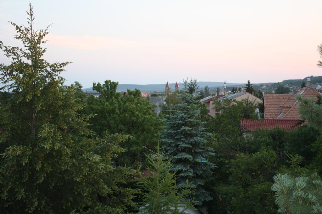 Barcza Vendégház Balatonfüred Zewnętrze zdjęcie